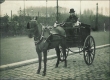 Paardengespan (06) (1913).jpg